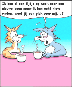 Kat_Zoekt_baan