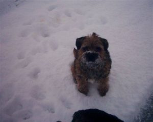 Yari in de sneeuw