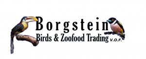 logo borgstein