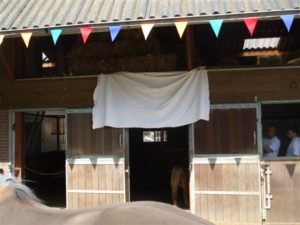 Onze kattenopvang is zover klaar dat we deze gaan openen. Wat voor verrassing zit er verstopt achter het doek?